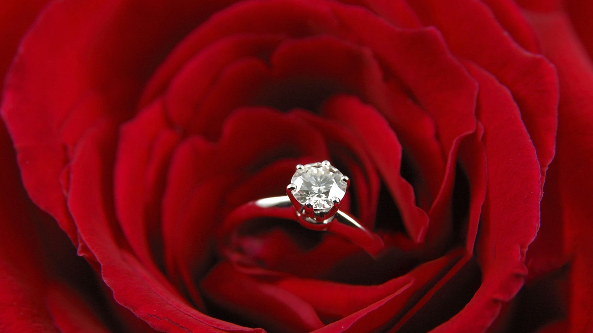 "Best Rings to Gift Your Partner This Valentine’s Day"