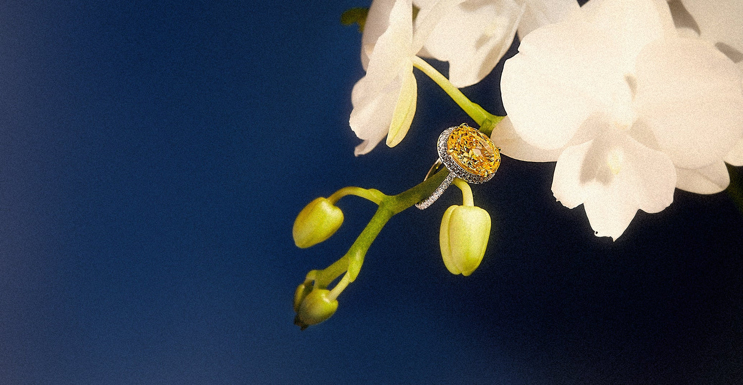 "Minimalist vs. Statement Rings – Which One Fits Your Style?"