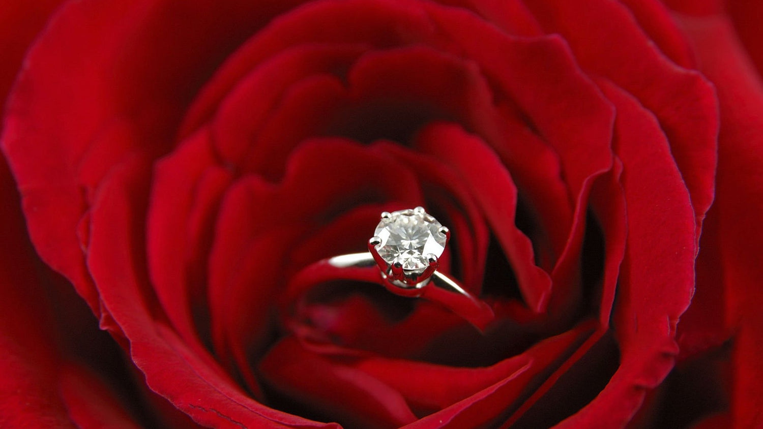 "Best Rings to Gift Your Partner This Valentine’s Day"